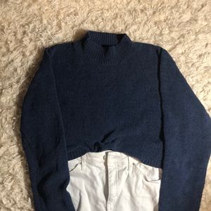 Wild fable cropped sweater